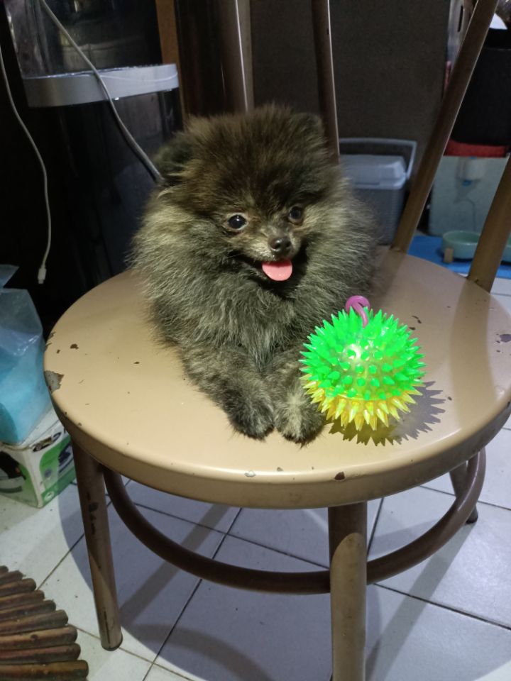 goodnovel comment avatar