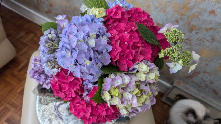 goodnovel comment avatar